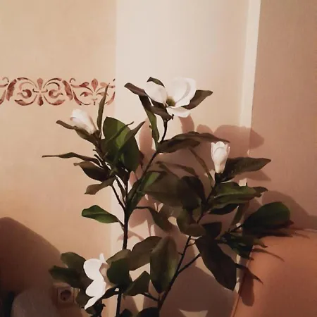 Apartament Kastrahome